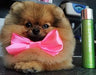 Artero Perfume para cães - PetDoctors - Loja Online