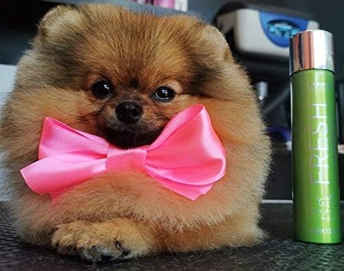 Artero Perfume para cães - PetDoctors - Loja Online