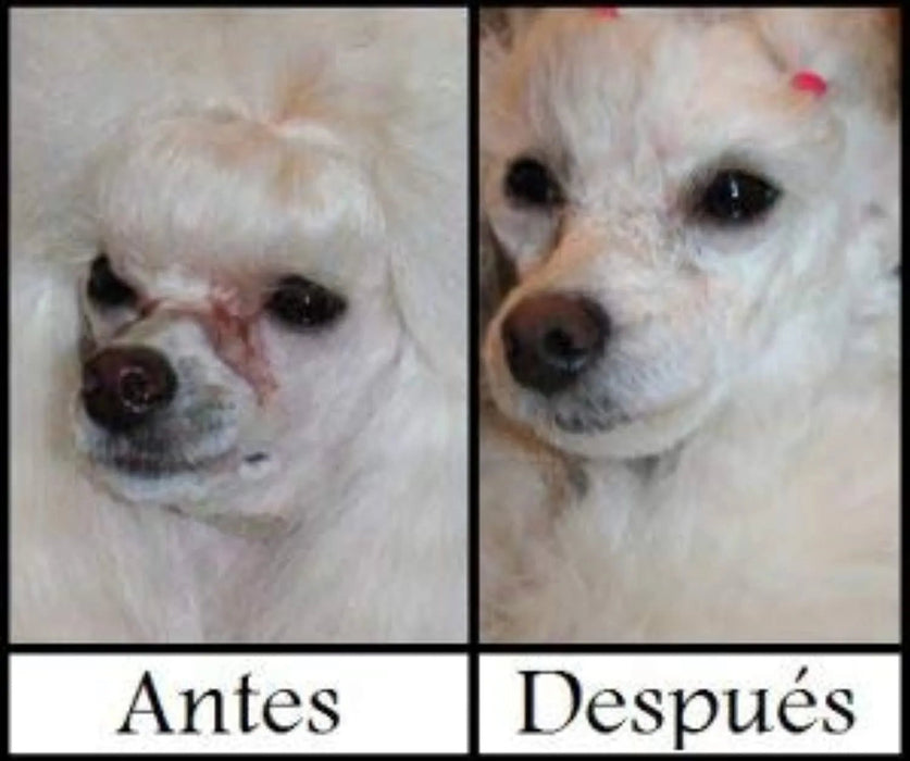 Artero Pretty Eyes - Limpeza ocular - Elimina manchas lacrimais em cães e gatos - PetDoctors - Loja Online
