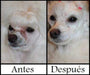 Artero Pretty Eyes - Limpeza ocular - Elimina manchas lacrimais em cães e gatos - PetDoctors - Loja Online