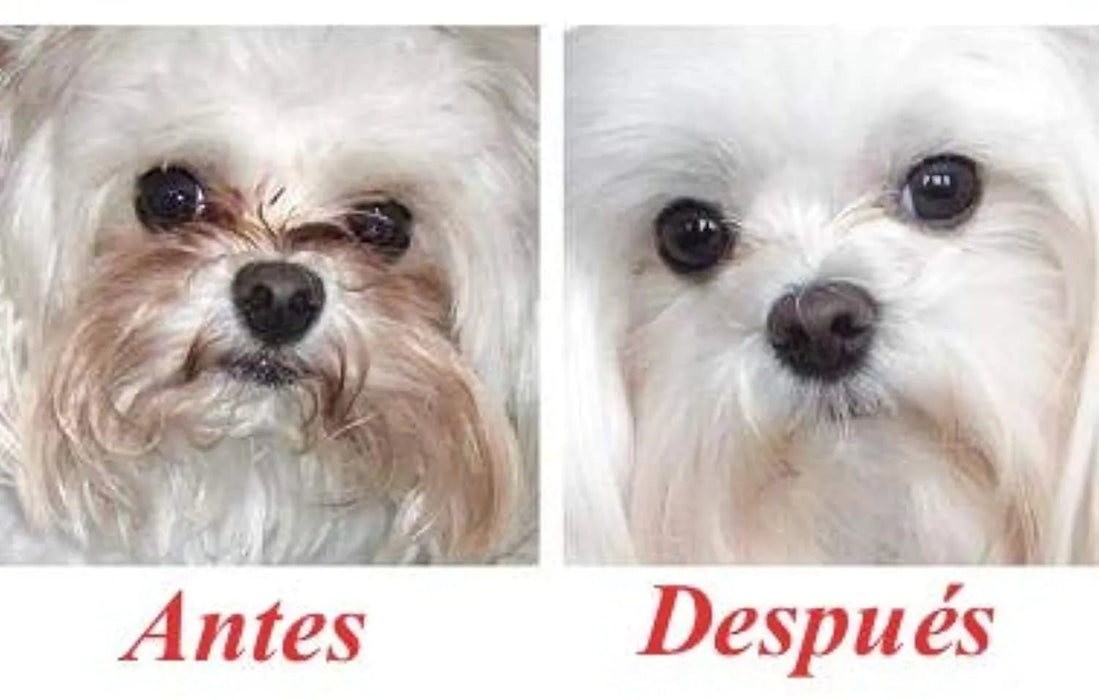 Artero Pretty Eyes - Limpeza ocular - Elimina manchas lacrimais em cães e gatos - PetDoctors - Loja Online