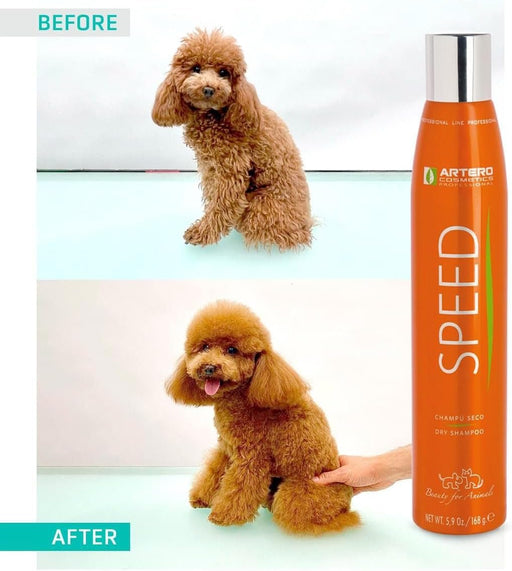 Artero Shampoo a Seco Speed 300 ml para cães e gatos, spray sem água nem enxaguamento, fabuloso e eficaz - PetDoctors - Loja Online