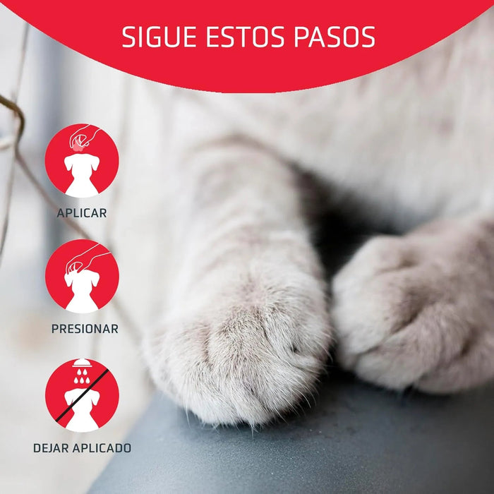 Artero Stop it. Pó hemostático para cortar as pequenas hemorragias produzidas pelo corte de unhas em cães e gatos - PetDoctors - Loja Online