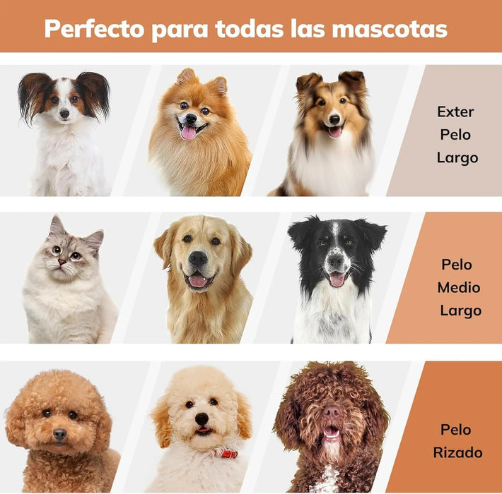 Aspirador para animais de estimação, máquina de cortar pêlo a cães com 3 litros, sucção potente - multifunções 5 em 1 - PetDoctors - Loja Online