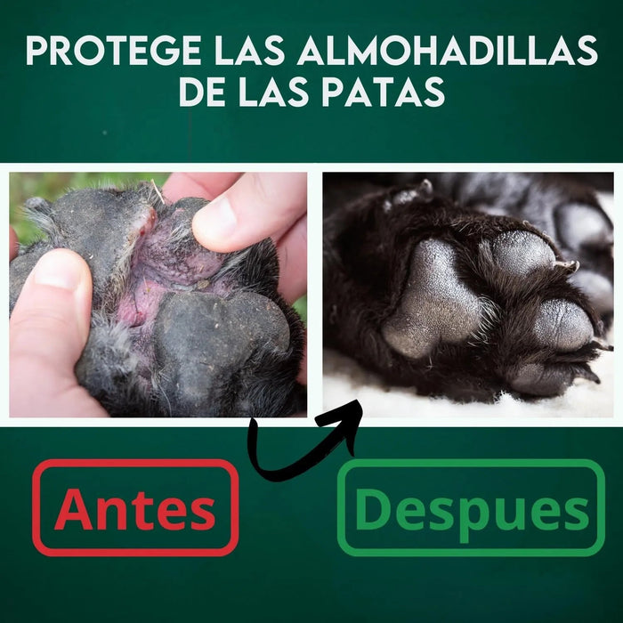 Bálsamo para as Almofadas das Patas, para cão, natural 100 ml, para almofadas secas, irritadas e queimadas, hidrata e repara - PetDoctors - Loja Online