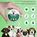 Bálsamo para o Nariz dos Cães - Natural e Sem Fragrância com Manteiga De Karité, Vitamina E e Cêra De Abelhas - Creme Nasal Reparador e Hidratante - PetDoctors - Loja Online