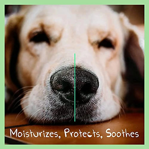 Bálsamo para o Nariz dos Cães - Natural e Sem Fragrância com Manteiga De Karité, Vitamina E e Cêra De Abelhas - Creme Nasal Reparador e Hidratante - PetDoctors - Loja Online