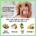 Bálsamo para o Nariz dos Cães - Natural e Sem Fragrância com Manteiga De Karité, Vitamina E e Cêra De Abelhas - Creme Nasal Reparador e Hidratante - PetDoctors - Loja Online