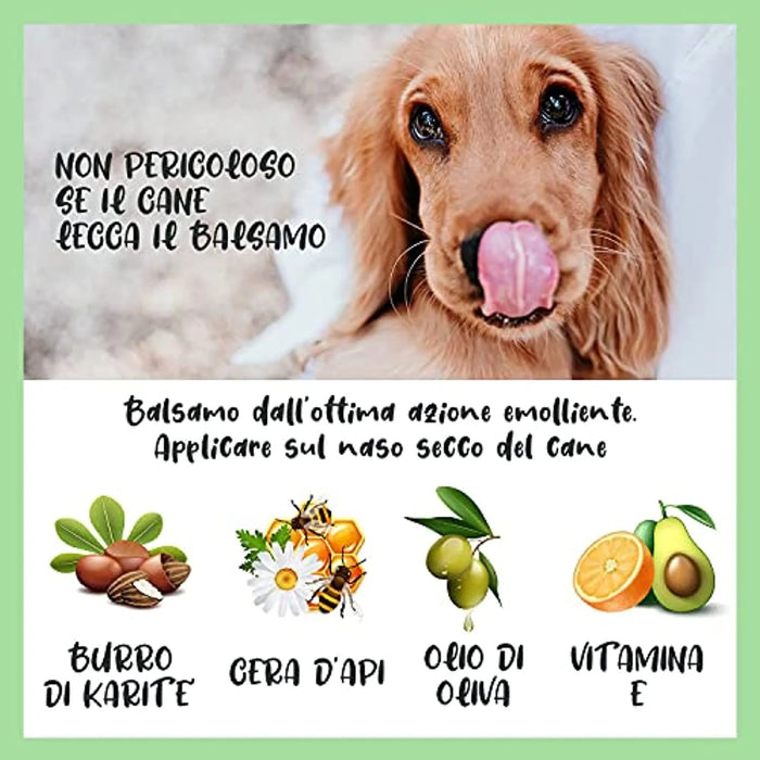 Bálsamo para o Nariz dos Cães - Natural e Sem Fragrância com Manteiga De Karité, Vitamina E e Cêra De Abelhas - Creme Nasal Reparador e Hidratante - PetDoctors - Loja Online