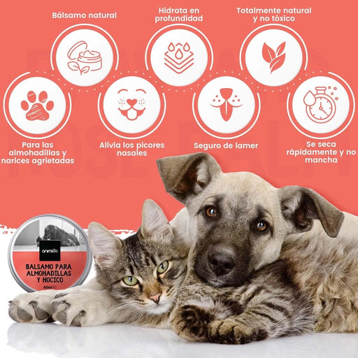 Bálsamo Protetor de almofadas das patas e de nariz de cães e gatos, creme hidratante natural, com cera de abelha e óleos essenciais, para irritação, comichão e pele rachada e seca - PetDoctors - Loja Online