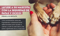 Bálsamo Protetor de almofadas das patas e de nariz de cães e gatos, creme hidratante natural, com cera de abelha e óleos essenciais, para irritação, comichão e pele rachada e seca - PetDoctors - Loja Online