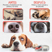 Bálsamo Protetor de almofadas das patas e de nariz de cães e gatos, creme hidratante natural, com cera de abelha e óleos essenciais, para irritação, comichão e pele rachada e seca - PetDoctors - Loja Online