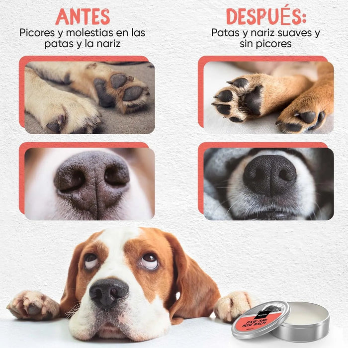 Bálsamo Protetor de almofadas das patas e de nariz de cães e gatos, creme hidratante natural, com cera de abelha e óleos essenciais, para irritação, comichão e pele rachada e seca - PetDoctors - Loja Online