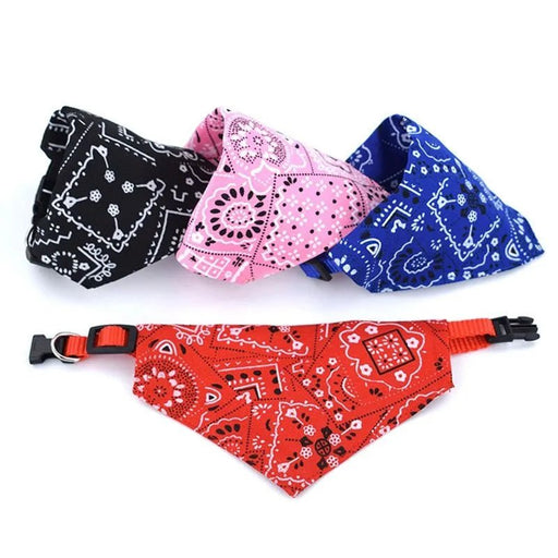 Bandana triangular ajustável para cães - PetDoctors - Loja Online