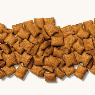 Beaphar Biscoitos de Malte Gato 150 gramas - PetDoctors - Loja Online
