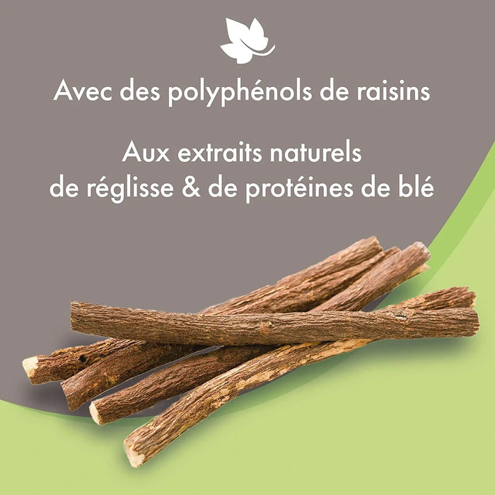 Beaphar Champô de alta cosmética para cães, todos os tipos de pêlo - PetDoctors - Loja Online