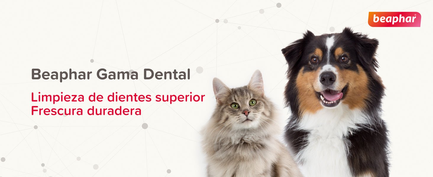 Beaphar Dental Plus para cães e gatos - PetDoctors - Loja Online