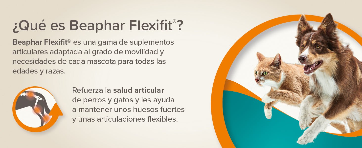 Beaphar Flexifit bits - Snack articular para gatos - sabor a peixe, ômega 3, glucosamina - 35 g - PetDoctors - Loja Online