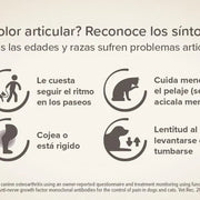 Beaphar Flexifit bits - Snack articular para gatos - sabor a peixe, ômega 3, glucosamina - 35 g - PetDoctors - Loja Online