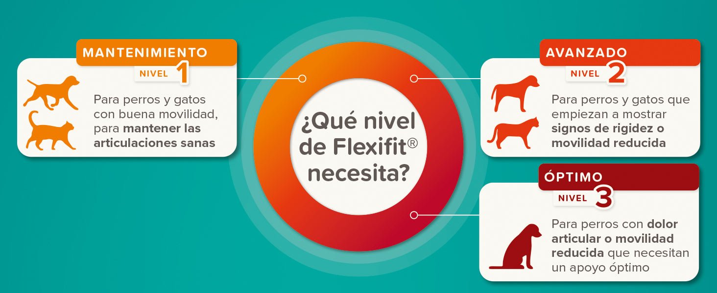 Beaphar Flexifit Chews - para cães com dor nas articulações - artrite - suplemento com colagénio tipo II, glucosamina, ômega 3 e vitamina E que ajudam a aliviar a dor e fortalecer as articulações - PetDoctors - Loja Online