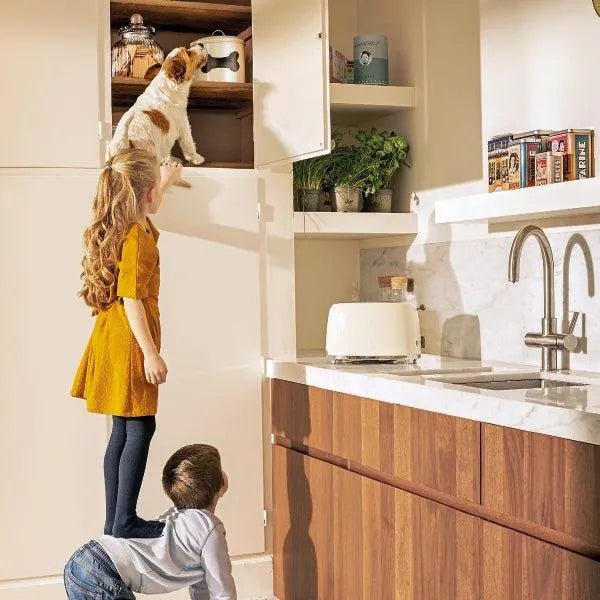 Beaphar Flexifit Pasta - suplemento articular para cães e gatos muito ativos ou com dor nas articulações - sabor a peixe, ômega 3, cálcio, vitamina E e glucosamina - 250 g - PetDoctors - Loja Online