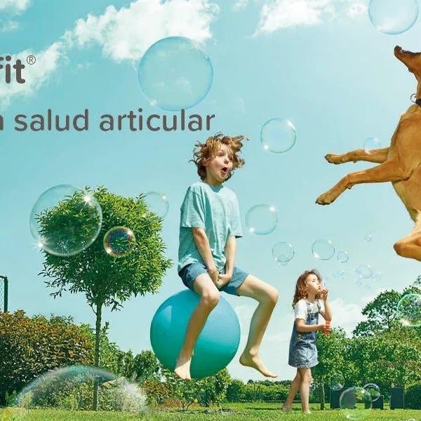 Beaphar Flexifit Pasta - suplemento articular para cães e gatos muito ativos ou com dor nas articulações - sabor a peixe, ômega 3, cálcio, vitamina E e glucosamina - 250 g - PetDoctors - Loja Online