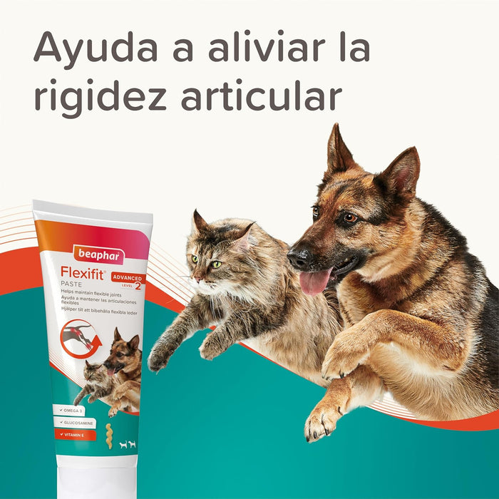 Beaphar Flexifit Pasta - suplemento articular para cães e gatos muito ativos ou com dor nas articulações - sabor a peixe, ômega 3, cálcio, vitamina E e glucosamina - 250 g - PetDoctors - Loja Online