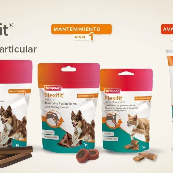 Beaphar Flexifit Pasta - suplemento articular para cães e gatos muito ativos ou com dor nas articulações - sabor a peixe, ômega 3, cálcio, vitamina E e glucosamina - 250 g - PetDoctors - Loja Online