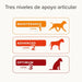 Beaphar Flexifit Sticks - barras articulares para cães ativos - sabor de carne, ômega 3, glucosamina e mexilhão de lábio verde - 175 g - PetDoctors - Loja Online