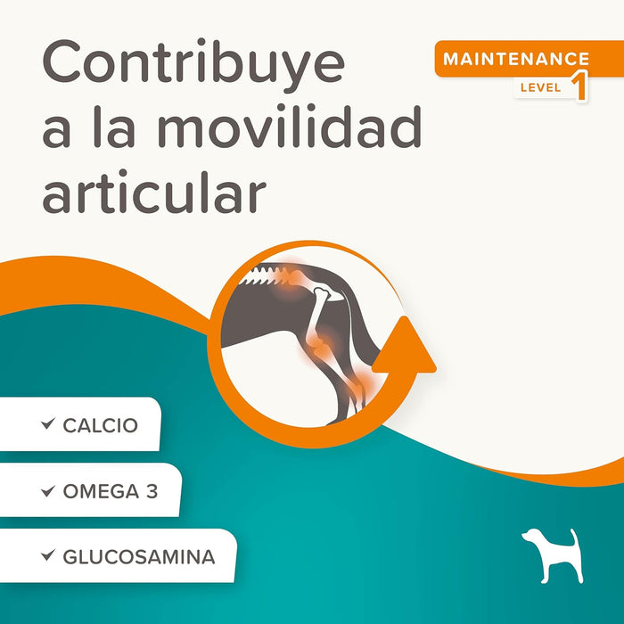 Beaphar Flexifit Treats Snack articular para cães ativos - sabor de carne, ômega 3, glucosamina e cálcio - 150 g - PetDoctors - Loja Online