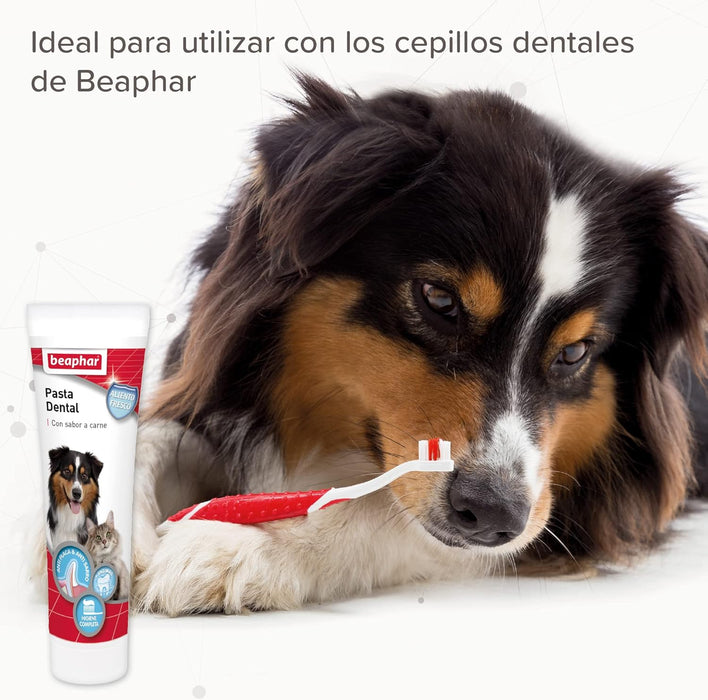 Beaphar Pasta Dentária para Cão e gato, 100 g - PetDoctors - Loja Online