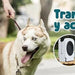 Bebedor e Comedor elevado e portátil para cães e gatos | dobrável | design compacto e alças integradas ideal para viagem - PetDoctors - Loja Online