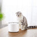 👉 Bebedouro Automático Inteligente para 🐶 Cães e 🐱 Gatos, Silencioso - com Aviso de falta de água ✅ e Mudança de filtro - PetDoctors - Loja Online