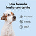 Belly Champô para cães com pele sensível - Acalma a comichão e a irritação (chá verde e aloé vera) - PetDoctors - Loja Online