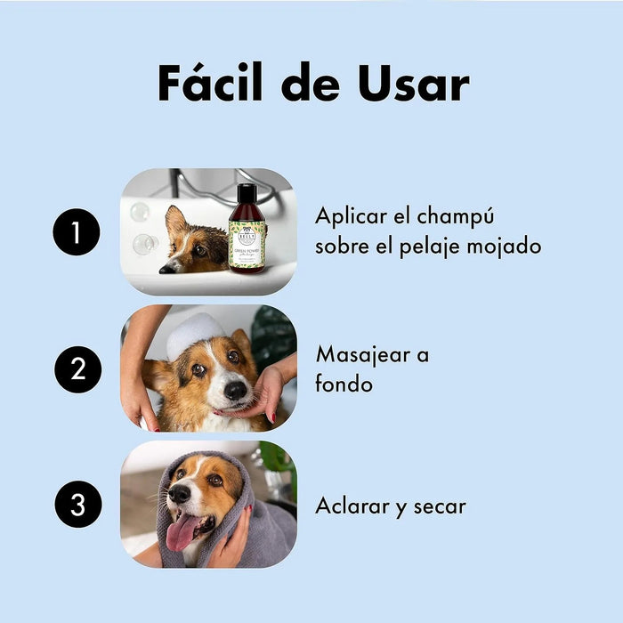 Belly Champô para cães com pele sensível - Acalma a comichão e a irritação (chá verde e aloé vera) - PetDoctors - Loja Online