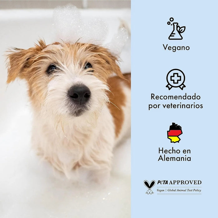 Belly Champô para cães com pele sensível - Acalma a comichão e a irritação (chá verde e aloé vera) - PetDoctors - Loja Online