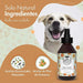 Belly Colónia Spray para cães, aroma pêssego, fresco e hidratante (250 ml) - PetDoctors - Loja Online