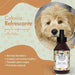 Belly Colónia Spray para cães, aroma pêssego, fresco e hidratante (250 ml) - PetDoctors - Loja Online