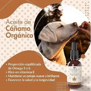Belly Óleo de cânhamo ômega 3 e 6 para cão, 100 ml - complemento alimentar para a pele e a pelagem - ajuda na ansiedade - rico em vitaminas A, B, E, C e D - PetDoctors - Loja Online