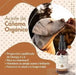 Belly Óleo de cânhamo ômega 3 e 6 para cão, 100 ml - complemento alimentar para a pele e a pelagem - ajuda na ansiedade - rico em vitaminas A, B, E, C e D - PetDoctors - Loja Online