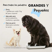 Belly® Snack de carvão ativado para cães - melhora a digestão e absorve toxinas - Reduz os mau - cheiros, snack para cães com vitaminas e antioxidantes e alfafa - PetDoctors - Loja Online