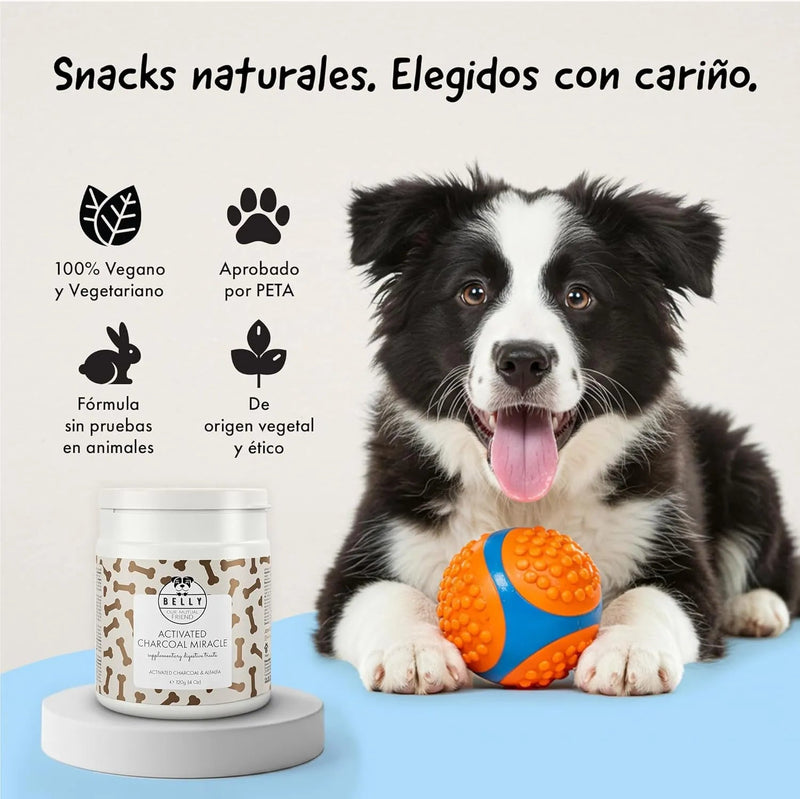 Belly® Snack de carvão ativado para cães - melhora a digestão e absorve toxinas - Reduz os mau - cheiros, snack para cães com vitaminas e antioxidantes e alfafa - PetDoctors - Loja Online
