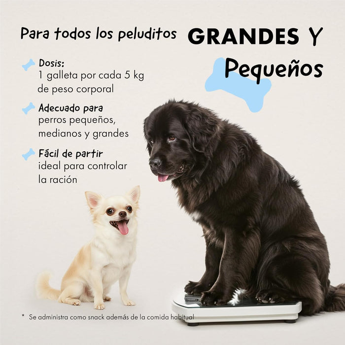 Belly® Snack de carvão ativado para cães - melhora a digestão e absorve toxinas - Reduz os mau - cheiros, snack para cães com vitaminas e antioxidantes e alfafa - PetDoctors - Loja Online
