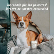 Belly® Snack de carvão ativado para cães - melhora a digestão e absorve toxinas - Reduz os mau - cheiros, snack para cães com vitaminas e antioxidantes e alfafa - PetDoctors - Loja Online