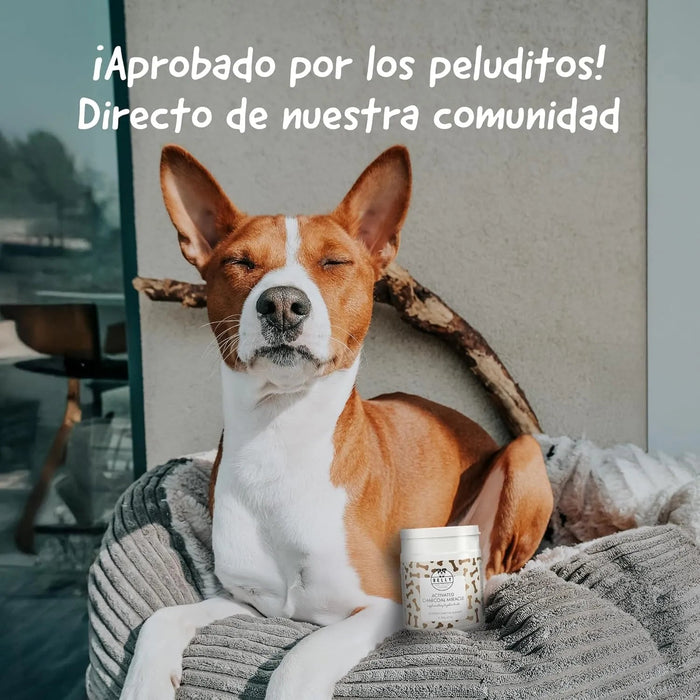 Belly® Snack de carvão ativado para cães - melhora a digestão e absorve toxinas - Reduz os mau - cheiros, snack para cães com vitaminas e antioxidantes e alfafa - PetDoctors - Loja Online