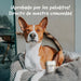 Belly® Snack de carvão ativado para cães - melhora a digestão e absorve toxinas - Reduz os mau - cheiros, snack para cães com vitaminas e antioxidantes e alfafa - PetDoctors - Loja Online