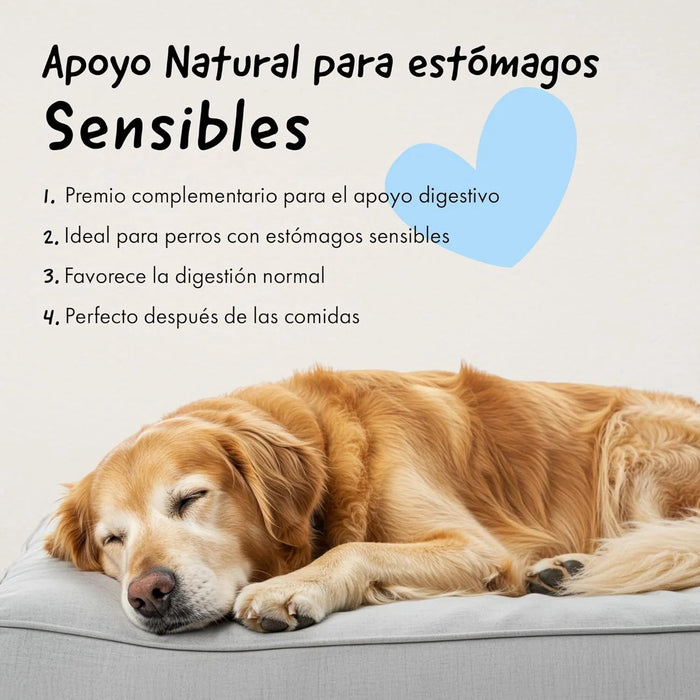 Belly® Snack de carvão ativado para cães - melhora a digestão e absorve toxinas - Reduz os mau - cheiros, snack para cães com vitaminas e antioxidantes e alfafa - PetDoctors - Loja Online