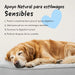 Belly® Snack de carvão ativado para cães - melhora a digestão e absorve toxinas - Reduz os mau - cheiros, snack para cães com vitaminas e antioxidantes e alfafa - PetDoctors - Loja Online