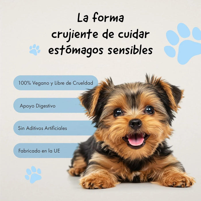 Belly® Snack de carvão ativado para cães - melhora a digestão e absorve toxinas - Reduz os mau - cheiros, snack para cães com vitaminas e antioxidantes e alfafa - PetDoctors - Loja Online
