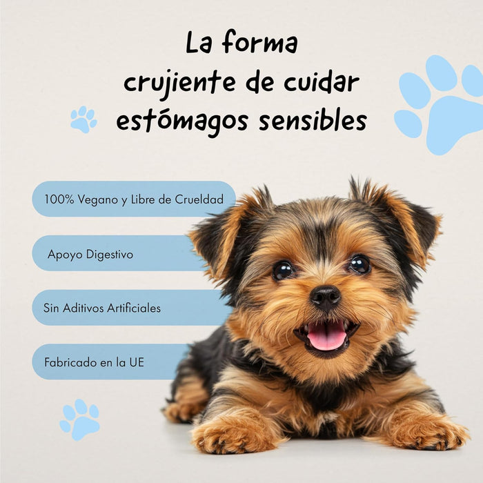 Belly® Snack de carvão ativado para cães - melhora a digestão e absorve toxinas - Reduz os mau - cheiros, snack para cães com vitaminas e antioxidantes e alfafa - PetDoctors - Loja Online